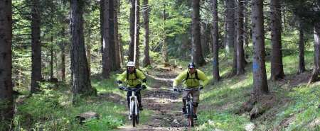 Downhill Freeride sulle Dolomiti del Trentino