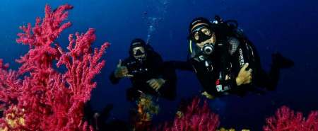 Immersione subacquea sui fondali nascosti dell'Isola d'Elba